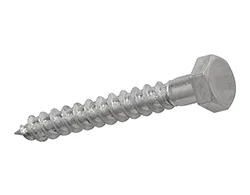 Inconel Coach Screw